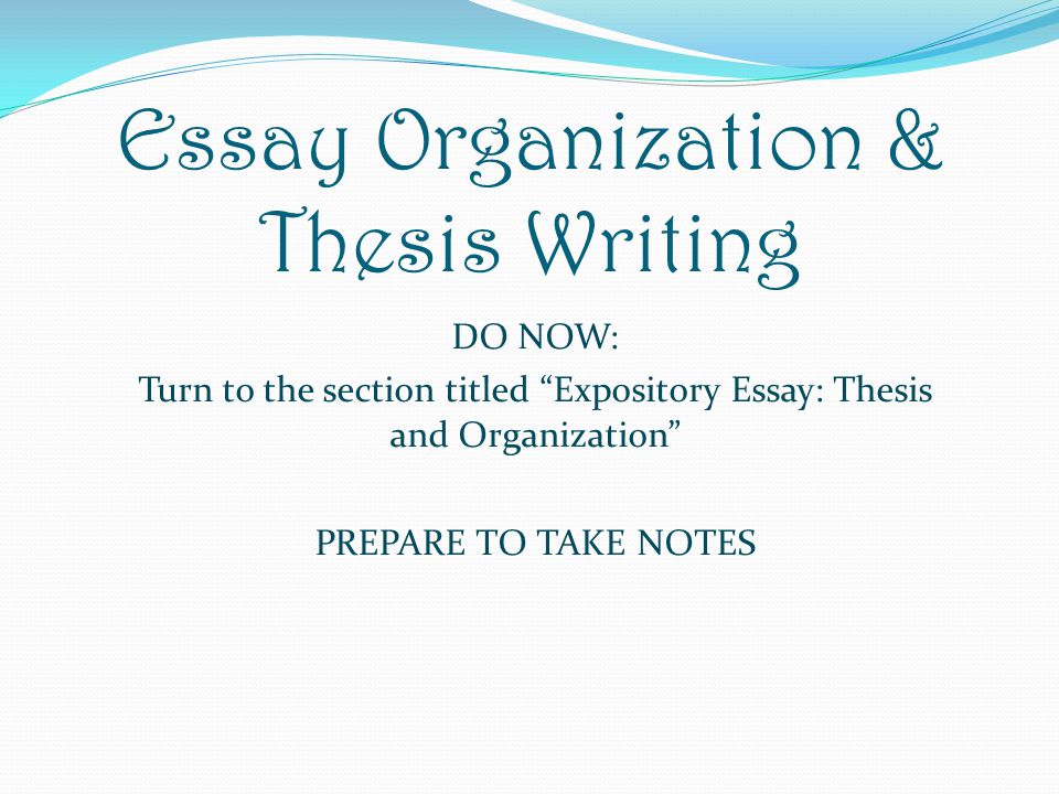 What Is an Organizational Thesis?